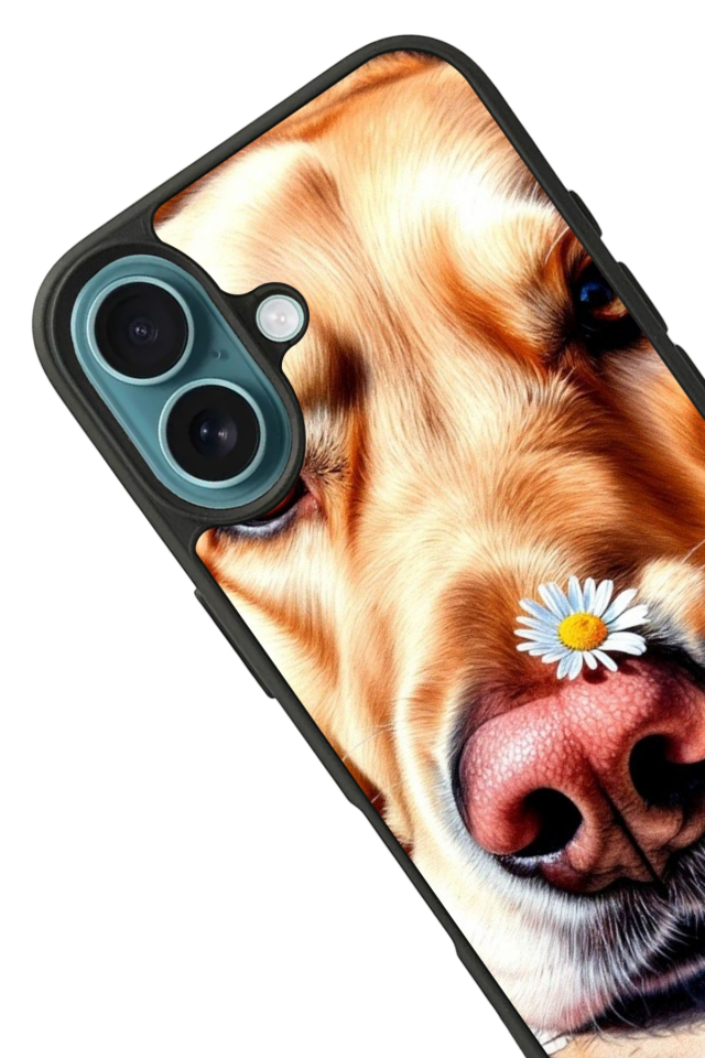 iPhone 16 Uyumlu Golden Kopek Tasarımlı Glossy Premium Kılıf